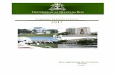 Programa Anual de Labores 2017 - UQROOsigc.uqroo.mx/04_documentos_generales/pal/pal_2017_hcu2.pdf · Unidad Académica Cancún por su parte, imparte tres licenciaturas atendiendo