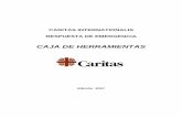CAJA DE HERRAMIENTAS - Caritas Chile...Enlace al Sitio Web de los Principios Rectores sobre Desplazamiento Interno (OCHA): ... tema abordado a nivel de bases puede ser tratado en otros