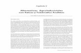 Alternativas Agroindustriales con Raíces y Tubérculos Andinoscipotato.org/wp-content/uploads/2014/09/RTAs_Ecuador_05.pdf · 2017-05-04 · deshidratación osmótica, secado solar