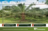 EDICIÓN ENERO 2018 N.º 551web.fedepalma.org/sites/default/files/files/Fedepalma/Palmicultor... · Suramérica en el Catatumbo Pág.14 Con récord en producción de aceite de palma,