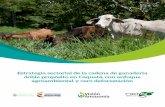 Estrategia sectorial de la cadena de ganadería doble ... Vision_Amazonia_Ganaderia_Caqueta.pdf · Nicolás Guzmán Asociación de Economía Solidaria del Medio y Bajo Caguán (ASOES)