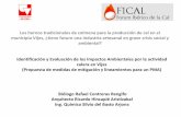 Presentación de PowerPointvfical.lnec.pt/apresentacoes/Rafael Contreras.pdf · submarinas y sedimentitas del Grupo Diabásico basamento de gran parte de la Cuenca del Valle del Cauca,