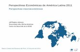 Perspectivas Económicas de América Latina 2011 · 5 Choques de recesión mundial afectaron la región Notas: Las adquisiciones trimestrales de obligaciones internas sólo cubren