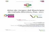 Atlas de riesgos del Municipio de Cañada Morelos, Pue. 2011 · 2012-06-20 · Principales actividades económicas en la zona 4.4. Características de la población económicamente
