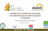Presentación de PowerPoint - ASAGIR · Posibilidades para aumentar la producción y satisfacer las demanda de Alimentos 1. Incrementar el área cultivada ( 9%) 2. Intensificar el