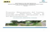 Proyecto: Mejoramiento del Camino: Granada – Malacatoya ... · 3 1. RESUMEN EJECUTIVO El presente documento contiene la Valoración Ambiental-Social del Proyecto de Mejoramiento