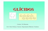 GL ÍCIDOS - Galiciacentros.edu.xunta.es/iesoteropedrayo.ourense/dptos/... · entre 3 e 7).-Segundo o grupo funcional principal, clasifícanse en: -Aldosas: Teñen un grupo aldehido