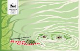 Diseño e ilustración - Pandaawsassets.panda.org/downloads/14_la_rana_gigante... · Su reproducción y ciclo vital Muy poco se sabe acerca de la repro- ducción de la rana gigante