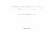 Análisis de las condiciones operativas y necesidades de … · 2015-05-18 · Mancía, P. 2007. AnÆlisis de las condiciones operativas y necesidades de infraestructura y equipo