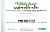 HUESITO - International Tropical Timber Organization · 2013-08-01 · De acuerdo alas investigaciones y experiencias de CUPROFOR, para secar madera de huesito en homos convencionales,