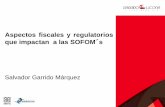 Aspectos fiscales y regulatorios que impactan a las SOFOM samsofac.mx/wp-content/uploads/2012/10/10-SalvadorGarrido-GL.pdf · Asesoría fiscal financiera de negocios SOFOM´s - Nacimiento