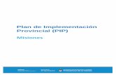 Plan de Implementación Provincial (PIP) · El presente Plan de Implementación Provincial fue realizado en el marco de un trabajo que consideró la trayerctoria productiva de la