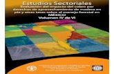 México: Evaluación del Impacto del Cobro por Derechos de ... · MÉXICO: Evaluación del impacto del cobro por derecho de aprovechamiento de “madera en pie” ... relacionadas