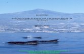 Manuel Carrillo Marisa Tejedor 2003 TROPICAL.pdf · las actividades de observación de cetáceos, que constituyen uno de los atractivos turísticos más importantes de Tenerife, con