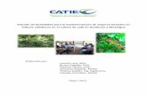 Estudio de factibilidad para la implementación de seguros …agronegocios.catie.ac.cr/images/pdf/seguros parametricos - factibili… · La ruta seguida para el estudio técnico incluyó
