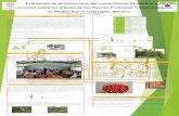 menores sobre los arboles de los Huertos Frutícolas ...galeria.uaem.mx/sites/default/files/obras/texto/VoBoRogerio_cartel.pdf · “Evaluación de la transmisión del conocimiento