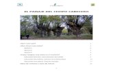EL PAISAJE DEL CHOPO CABECERO - Espacio Xilocaxiloca.org/chopocabecero/images/stories/pdf/01Presentacion.pdf · naturaleza y de los seres humanos.” El paisaje del chopo cabecero