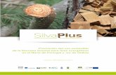 Proyecto financiado por el - SilvaPlussilvaplus.com/fotos/editor2/Produtos/manualsilvaplus_es.pdf · Proyecto Silvaplus / 5 Prólogo Rosário Alves. Directora ejecutiva de Forestis