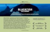 (PEZ NEGRO) · de 12 años que saltó la barrera fue detenido, y esa escena recibió una gran cobertura de la prensa nacional y sirvió para mantener a SeaWorld - y Blackfish - en