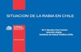 SITUACION DE LA RABIA EN CHILE - Sochinf · Epidemiologia de la Rabia en Latino América Es un problema de Salud Publica en mas de 150 países, incluida toda América Latina y el