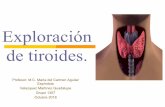 Exploración de tiroides. · Exploración de tiroides. Profesor: M.C. María del Carmen Aguilar Espíndola Velazquez Martínez Guadalupe Grupo 1307 Octubre 2018
