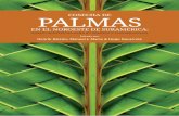 Cosecha de palmas en el noreste de Suramérica · enorme relevancia desde el punto de vista cultural para todos los grupos humanos que habitan en el noroeste de Suramé-rica. 21,22.