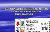 CUENCA ALTA EL RÍO SAN JULIÁN - LAGUNA ...• Plan de Manejo del Área Protegida, elaborado en la Gestión 2006 por el municipio de Pailón. • Comité de Gestión (comunidades