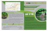 Diptico Lobo de río - tambopata-bahuaja.infoo.pdf · RPM #831595 mdios@aider.com.pe Asociación para la Invesgación y Desarrollo Integral - AIDER Lobo de río (Pteronura brasiliensis)