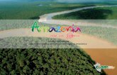 La Amazonía vale un · 2014-10-30 · EJE 1: Estrategia de Bosques y Cambio Climático para la Amazonía Enfoque: poner en valor el bosque a través de los bionegocios, desarrollo