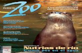 PLANETA ZOO - zoobaq.org Zoo-05.pdf · La nutria de río es uno de los animales más llamativos para el espectador, pero detrás de su despliegue de juegos y tierna apariencia está