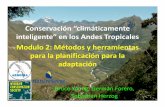 “climáticamente inteligente” en los Andes Tropicales ...“La consideraciónintencionaldel CC en el manejode los recursos naturales, pormediode la adopciónde metas visionariasy