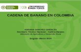 CADENA DE BANANO EN COLOMBIA - MinAgricultura...aumento en los caudales de los ríos, entre otros. • Cambio en el manejo y control de enfermedades fitosanitarias que afectan el crecimiento