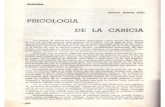 catedralibremartinbaro.orgcatedralibremartinbaro.org/.../(1970)Psicologia-de-la-caricia.pdf · Muchos gestos de nuestras manos tienen este mist-no valor de lenguaje. La caricia, siempre.