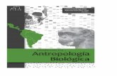 IntroducciÃ³n a la AntropologÃŁa BiolÃ³gica antropologia.pdf · dentición de las poblaciones humanas en el tiempo y en el espacio (Zoubov, 1997a), incluyendo su relación con