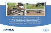 Evaluación de Procesos€¦ · de fomento a los sectores agropecuario, forestal, pesquero y rural 24 c) La situación agropecuaria nacional. El papel de FIRA en el contexto actual.