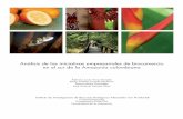 Análisis de las iniciativas empresariales de biocomercio ...biocomerciosostenible.org/Documentos/BiocomercioEmpresasAmazonas.pdf · actual del cumplimiento de los principios y criterios