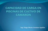 Ing. Hugo Mario Armijos Aguilar - Associacao Brasileira De ...abccam.com.br/wp-content/uploads/2012/01/capac de carga em viv… · El oxígeno es provisto en la piscina •El proceso