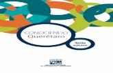 INEGI. Conociendo Querétaro. Sexta edición. 2016internet.contenidos.inegi.org.mx/contenidos/Productos/prod_serv/... · 8 De cada 100 personas en las viviendas en la entidad (2015):