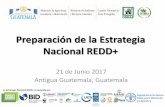 Preparación de la Estrategia Nacional REDD+sgccc.org.gt/wp-content/uploads/2017/09/Estrategia... · Acceso y derecho a la tenencia de la tierra Distribución equitativa de beneficios