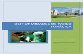 DEFFORMIDADES DE PARED TORÁCICA · Plan Asistencial DEFORMIDADES DE PARED TORACICA UGC Cirugía Torácica y Trasplante Pulmonar 3 INFORMACIÓN. GENERAL Los miembros de la Unidad