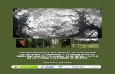 AA APPPOOORRRTTTEEESSS ......Proyecto “Consolidación de un Sistema de Monitoreo de Bosques y Carbono (SMBYC), como soporte a la Política Ambiental y de Manejo en Colombia” A