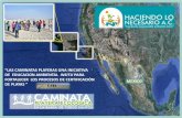 “LAS AMINATAS PLAYERAS UNA INIIATIVA DE EDUCACION ......En Ensenada, B.C., las caminatas playeras han permitido: Visionar la costa como un todo en el que el desarrollo sustentable