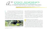 El OSO ANDINO - AMCde manejo para la conservación del oso andino carecerán del soporte correcto. Para lograr el manejo adecuado de las poblaciones de osos y su hábitat es pri-mordial