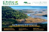 UN SUEÑO HECHO REALIDAD · UN SUEÑO HECHO REALIDAD Red de Parques de la Patagonia: DT N° 239 Tabla de valores 2019 Ley Recuperación del Bosque Nativo y Fomento Forestal. 2 / Chile