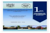 1er. Informe de Actividadeshumanidadestapachula.unach.mx/images/Humanidades/Direccion/informe.pdf · Alumna Informe de Actividades Gestión 2017-2021 Escuela de Humanidades, Campus
