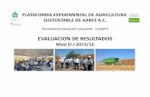 PLATAFORMA EXPERIMENTAL DE AGRICULTURA SUSTENTABLE DE …aarfs.com.mx/imagenes/PEAS_-_Evaluacion_de_resulta... · PLATAFORMA EXPERIMENTAL DE AGRICULTURA SUSTENTABLE RESULTADOS DE