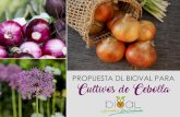 Programa Nutrición y Fitoprotección - DL Bioval€¦ · Productos destacados por su especial acción Deep Grain Perla: comercializado exclusivamente por DL BIOVAL, estamos ante