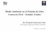 Medio Ambiente en el Tratado de Libre Comercio Perú ... · • Sobre cualquier asunto del Capítulo • Busca solución mutuamente satisfactoria • Si no logran solución satisfactoria,