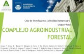 Ciclo de Introducción a la Realidad Agropecuaria Uruguay ...ira/ur/materiales/grales/2013/2013_presentaciones_ur/... · 1980: Madera utilizada como leña pasa de 600 mil toneladas