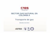 SECTOR GAS NATURAL EN COLOMBIA Transporte …...Transporte regulado por ser monopolio natural Libre acceso: Reglamento único de transporte, RUT, Res. 071/1999 Remuneración: Metodología